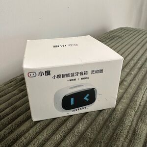 Smart Bluetooth Speaker with Display